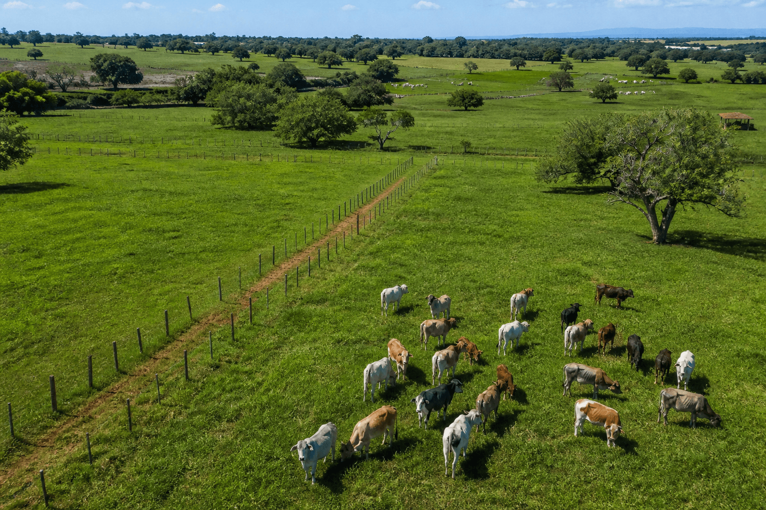 Pasturas